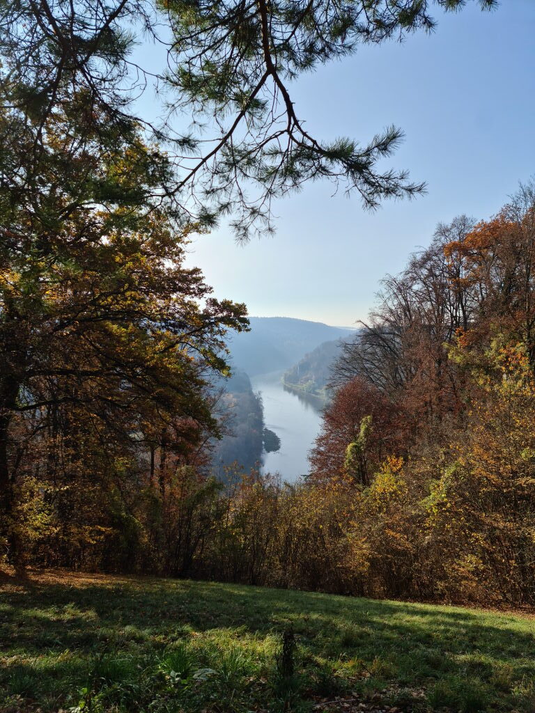 Ausblick vom Hang auf den Donaudurchbruch bei Weltenburg, herbstlicher Wald, Dunst im Tal, November 2020