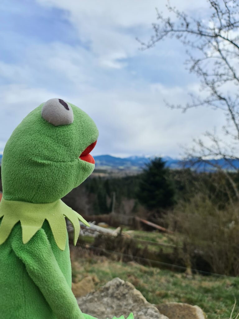 Kermit der Frosch schaut vom Taubenberg auf das Alpenpanorama