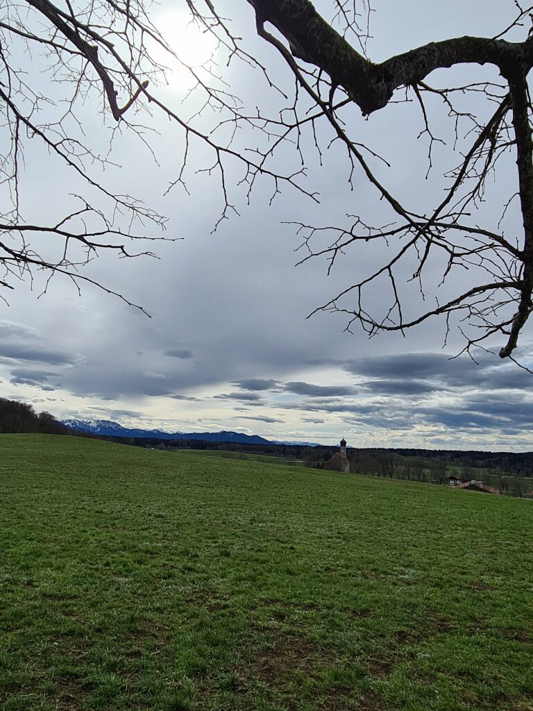 Grüne Wiese mit Alpenpanorama und Warngauer Kirchturm unter bewölktem Aprilhimmel
