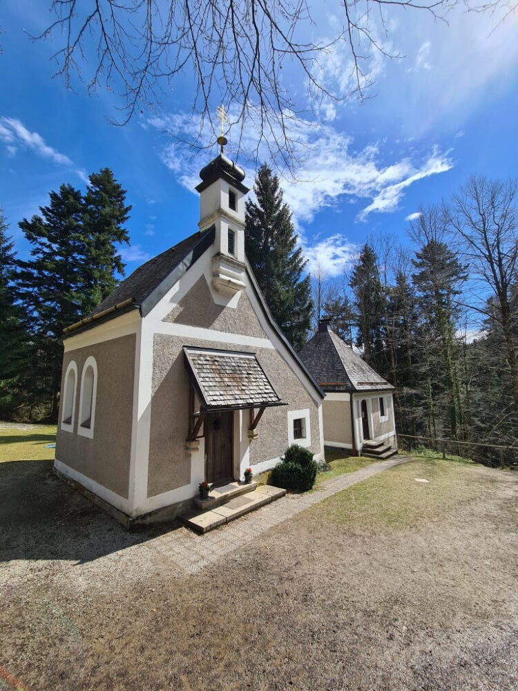Taubenberg: 12 km, 350 Hm und ein Frosch mit der besseren Aussicht