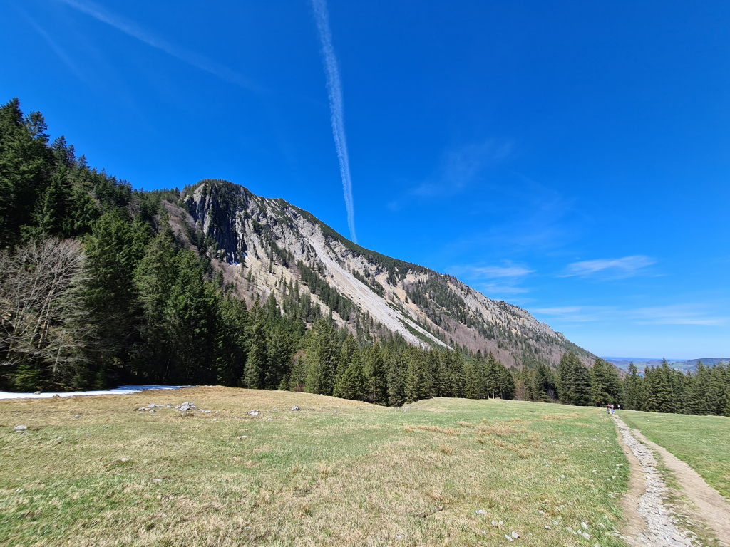 Schmaler Wanderweg über grüne Bergwiese mit imposanter Felswand des Roßkopfs im Hintergrund und blauem Himmel, Spitzingsattel Mai 2021