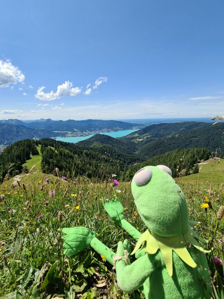 Kermit sitzt in einer Bergblumenwiese am Baumgartenschneid mit weitem Panoramablick auf den türkisfarbenen Tegernsee und die umliegenden Berge