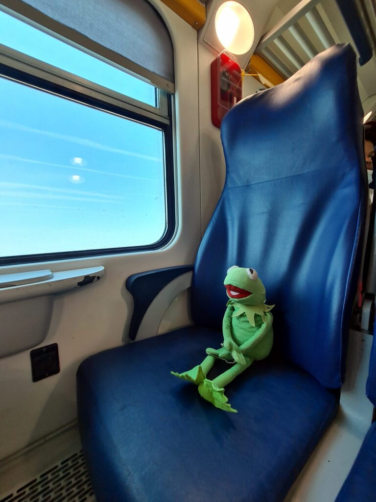 Kermit sitzt allein im Zug der Cinque Terre auf dem Weg nach Manarola, Juli 2021