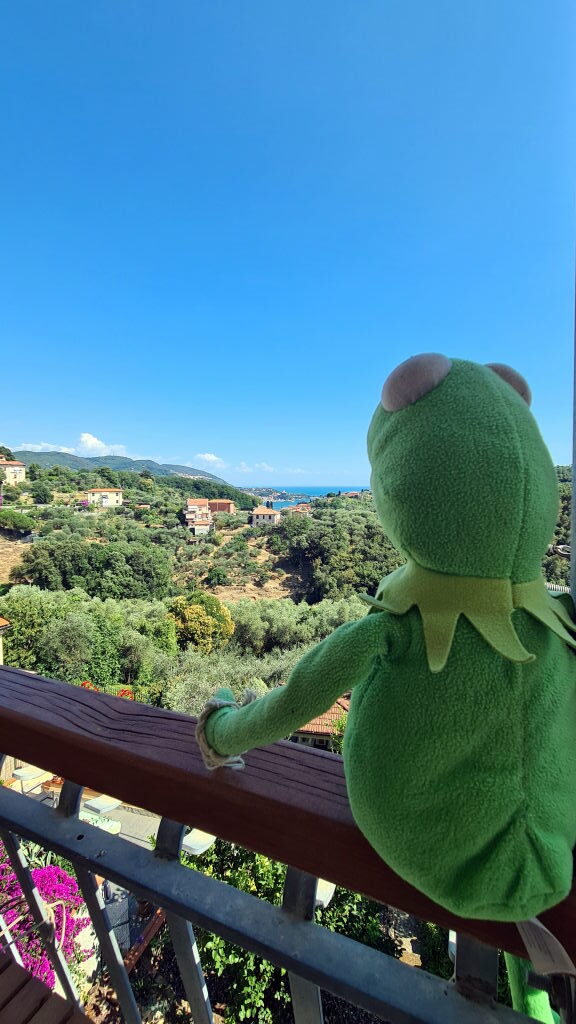Kermit auf dem Balkon der Unterkunft Casa Orizzonte Mare mit Aussicht auf Olivenhaine und Meer, La Spezia Juli 2021