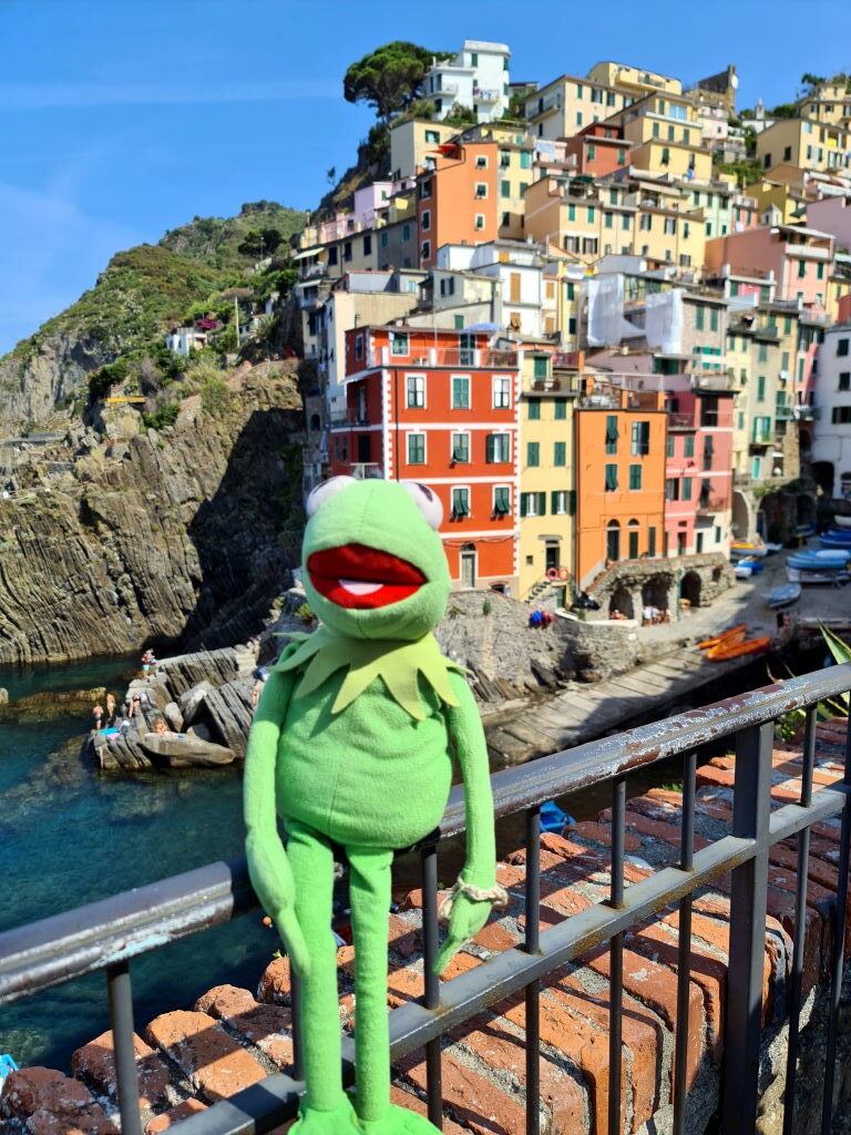 Kermit am Hafen von Riomaggiore mit bunten Häusern, Cinque Terre Juli 2021