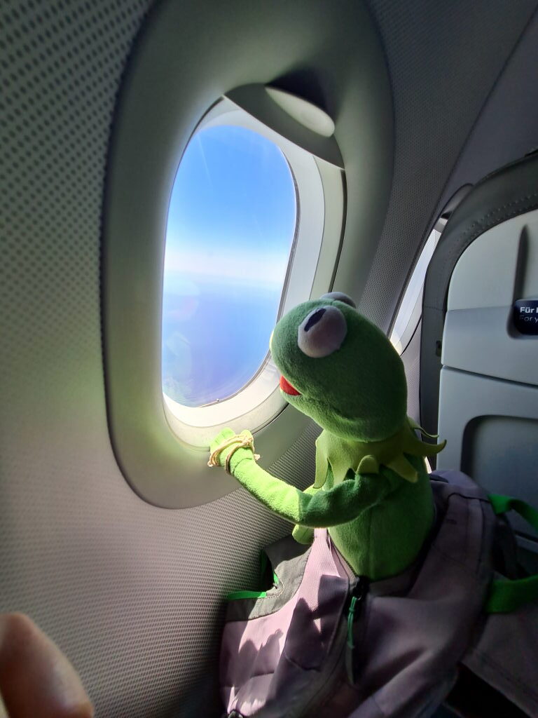 Kermit schaut aus dem Flugzeugfenster in den blauen Himmel über den Wolken