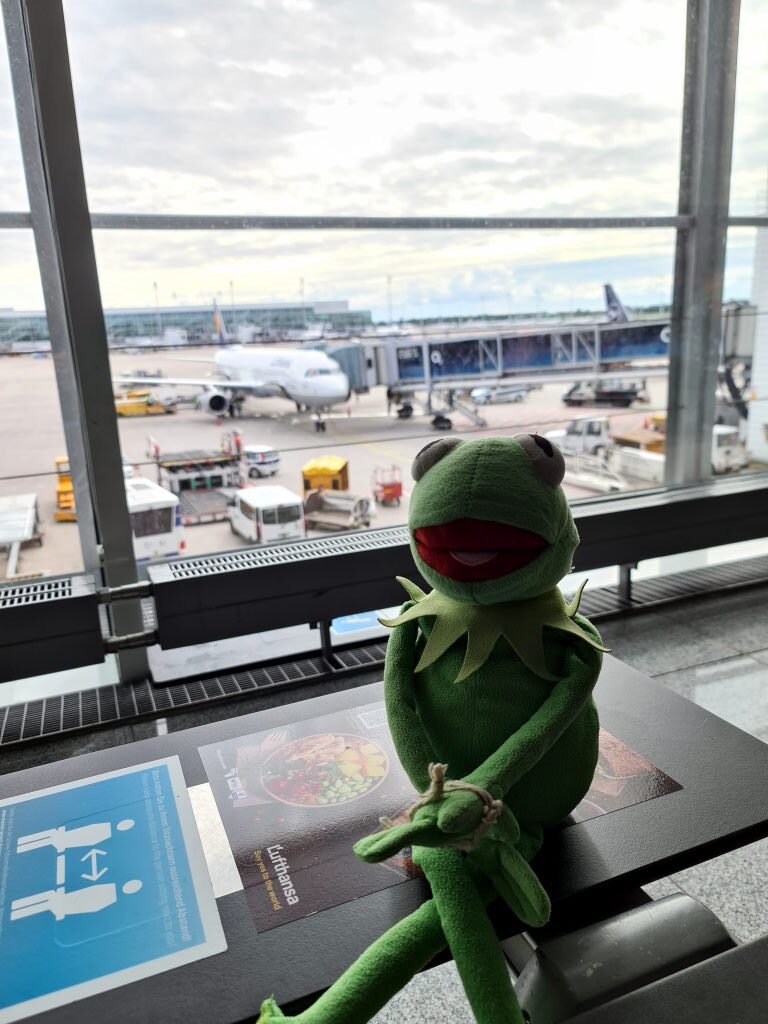 Kermit sitzt am Fenster im Terminal 2 des Flughafens München mit Blick auf das Vorfeld