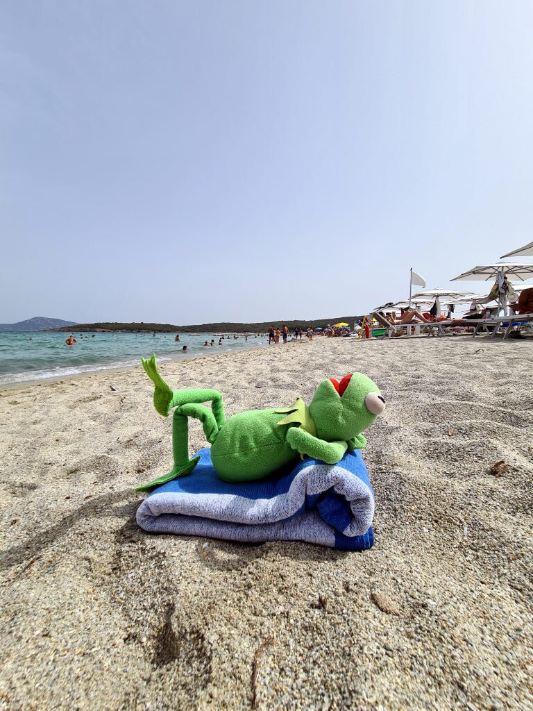 Kermit liegt entspannt auf einem Handtuch am Strand Spiaggia Pittulongu, Sardinien, mit türkisem Meer im Hintergrund