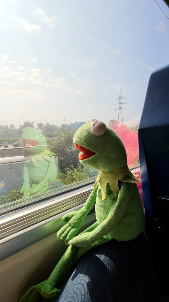 Kermit der Frosch sitzt im Zug am Fenster, seine Spiegelung im Glas sichtbar, belgische Landschaft im Hintergrund