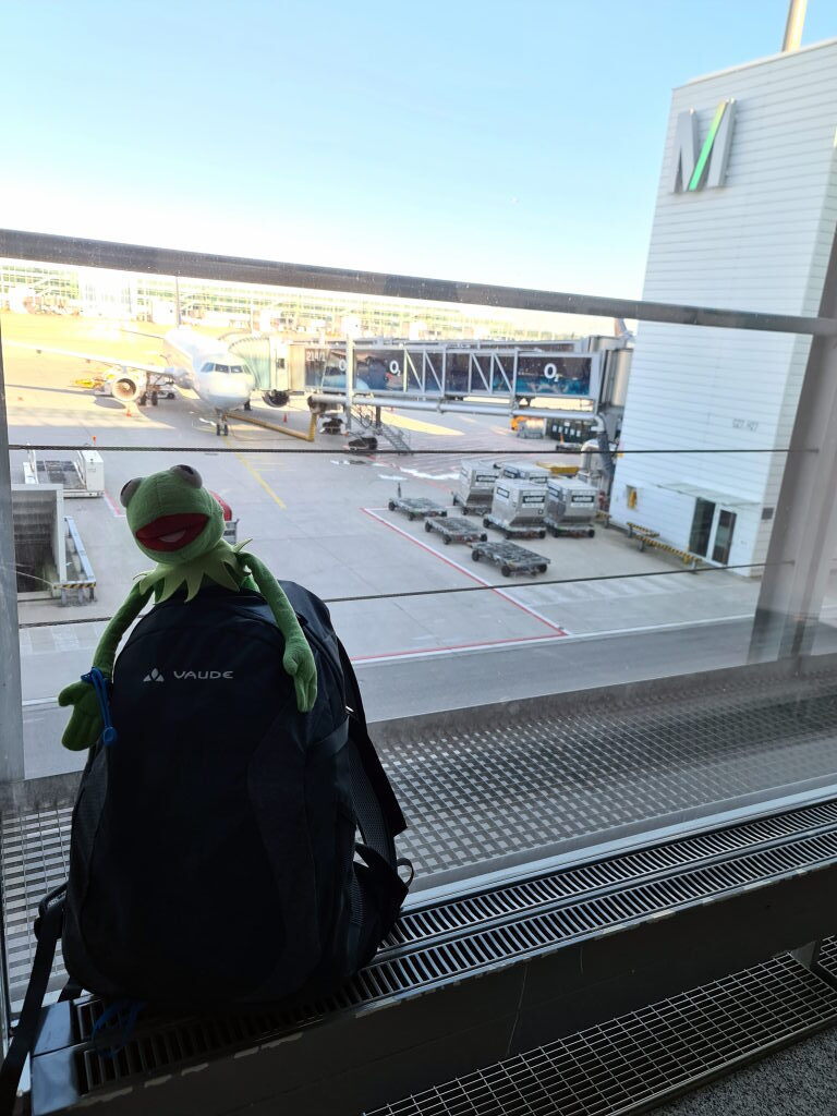 Kermit der Frosch sitzt auf einem Vaude-Rucksack am Flughafen München und schaut durch die Glasscheibe aufs Vorfeld