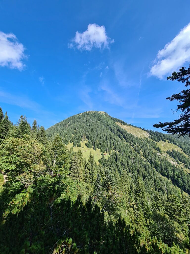 Kegelförmiger bewaldeter Gipfel des Heimgarten unter blauem Himmel, September 2021