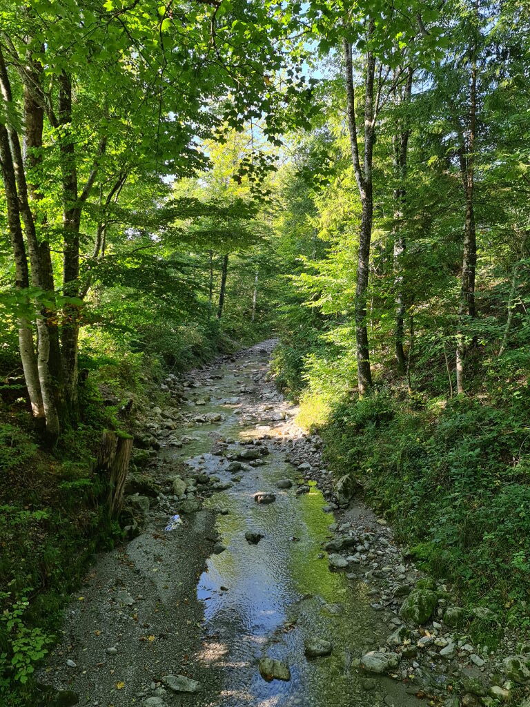 Steiniger Bachlauf im Wald nahe der Herzogstandbahn, September 2021