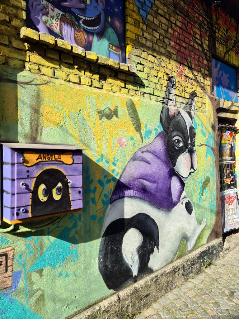 Street-Art-Mural in Plovdiv mit einer französischen Bulldogge in lila Maske, daneben ein bemalter Briefkasten mit der Aufschrift Angelo