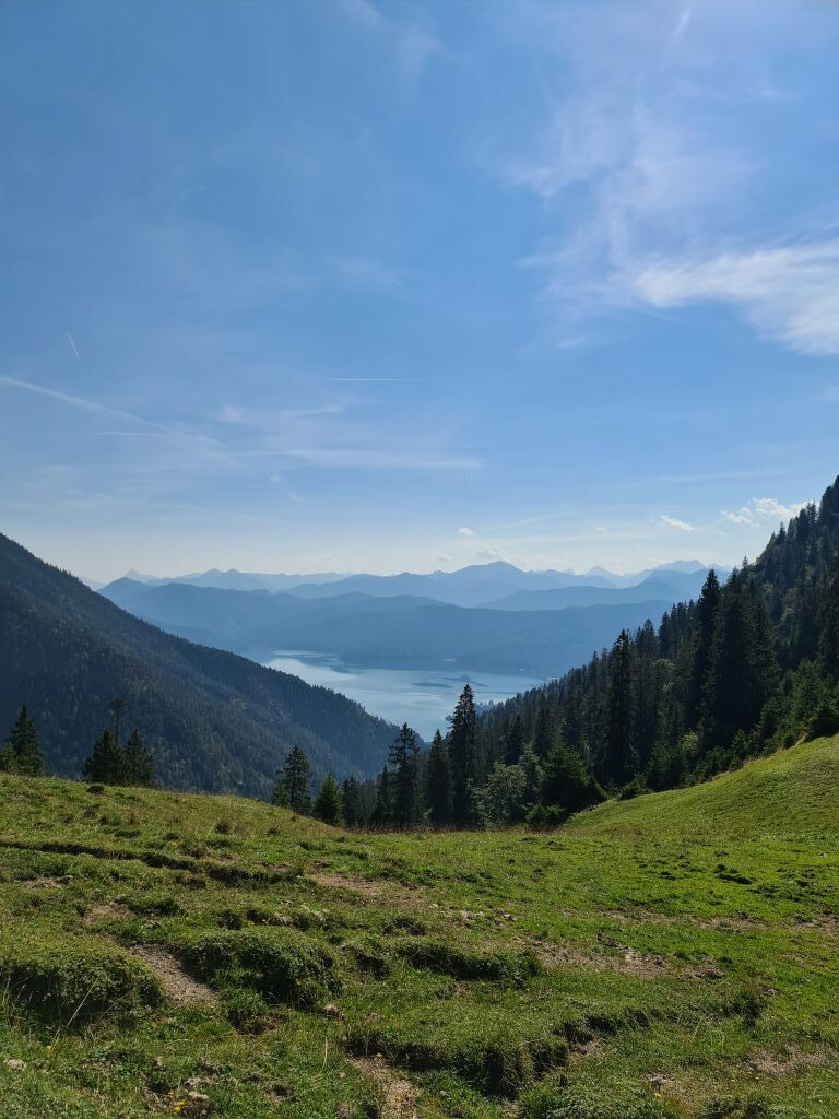 Panoramablick auf den Walchensee eingebettet zwischen bewaldeten Berghängen, September 2021