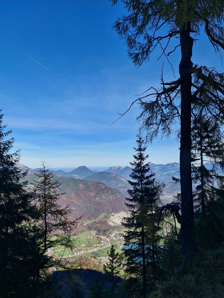 Blick durch Fichten ins Tal bei Brannenburg, Oktober 2021