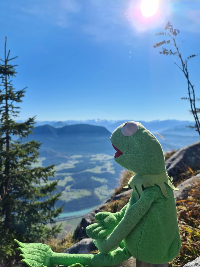 Kermit sitzt auf einem Felsen am Pendling-Gipfel mit Blick ins Inntal