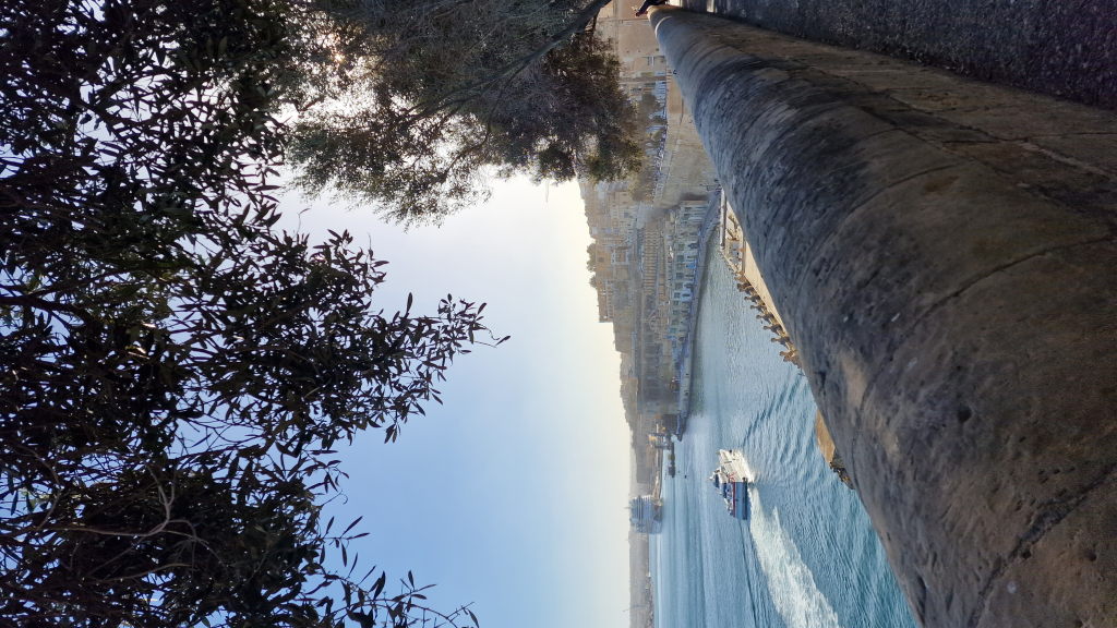 Hafenblick Valletta Olivenbaum Kreuzfahrtschiff