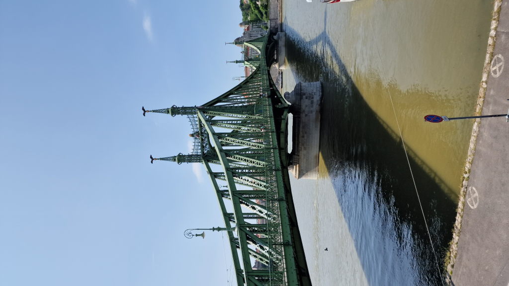 Freiheitsbrücke Budapest Nahaufnahme