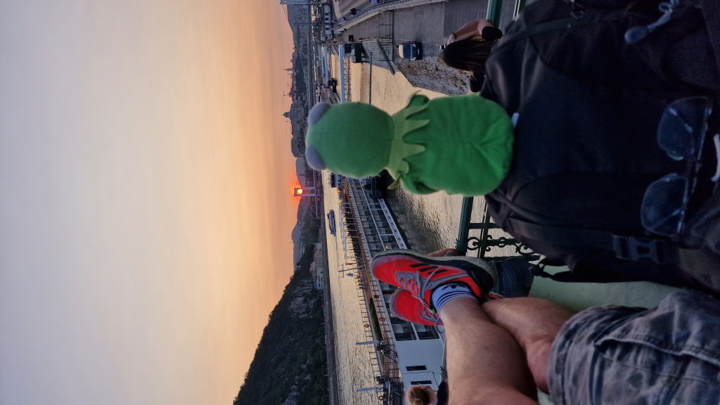 Kermit und ich beim Sonnenuntergang an der Donau