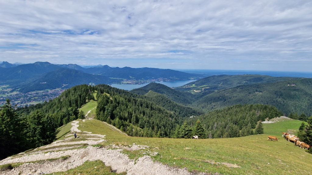 Baumgartenschneid 2023