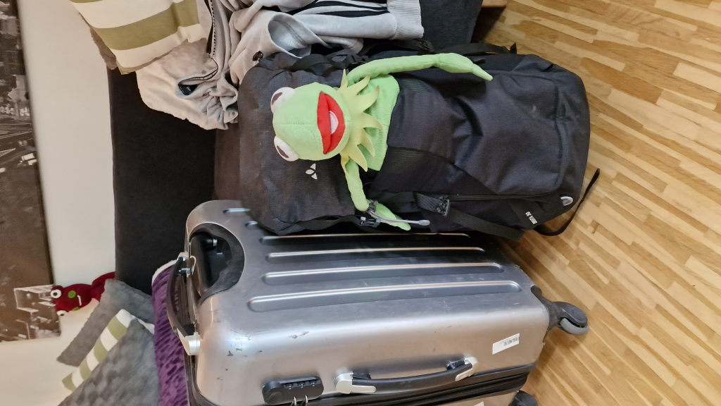 Kermit im Rucksack neben dem Koffer