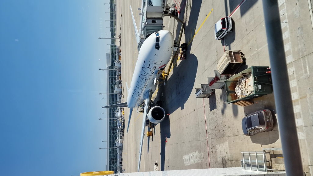 Star Alliance Flugzeug am Gate München