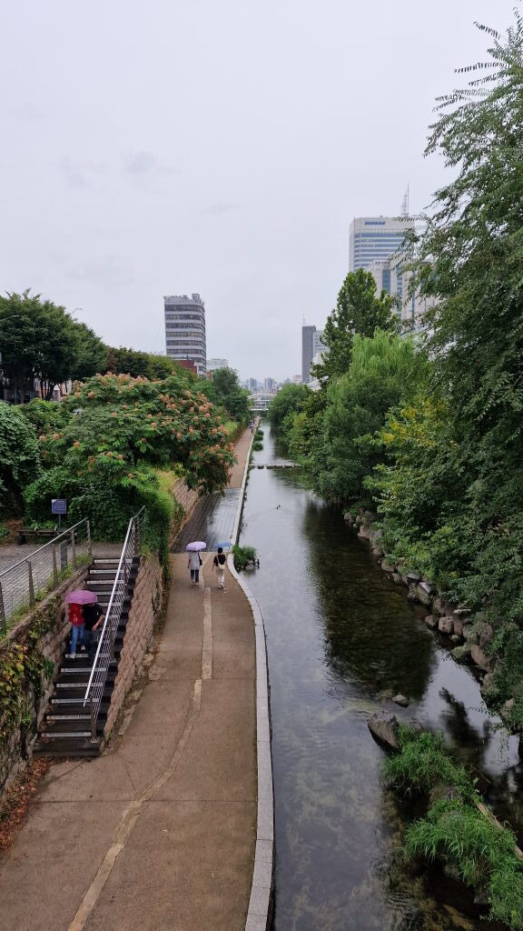 Seoul, Kermit und 24 Stunden unterwegs — Ankunft auf Umwegen