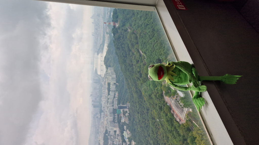 Kermit sitzt am Fenster der N Seoul Tower Aussichtsplattform mit Han River Blick