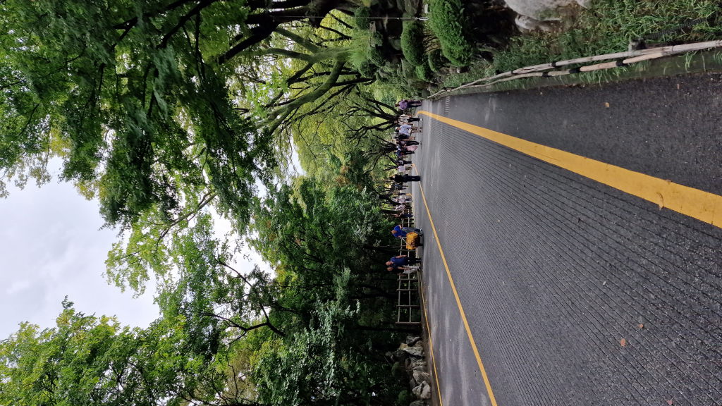 Baumgesäumter Weg vom Namsan hinunter