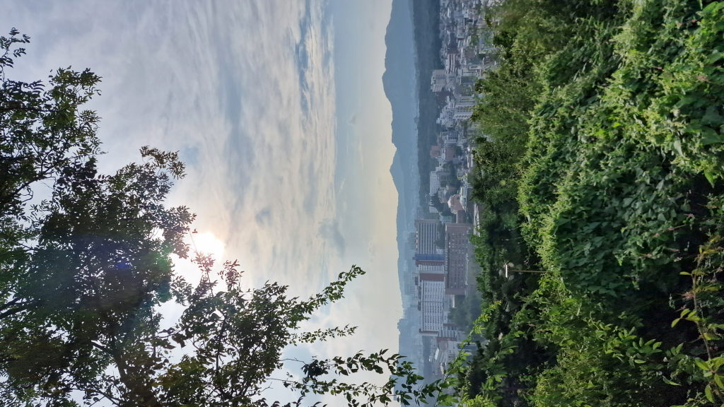 Street Art Mural Ihwa Mädchen mit Brille