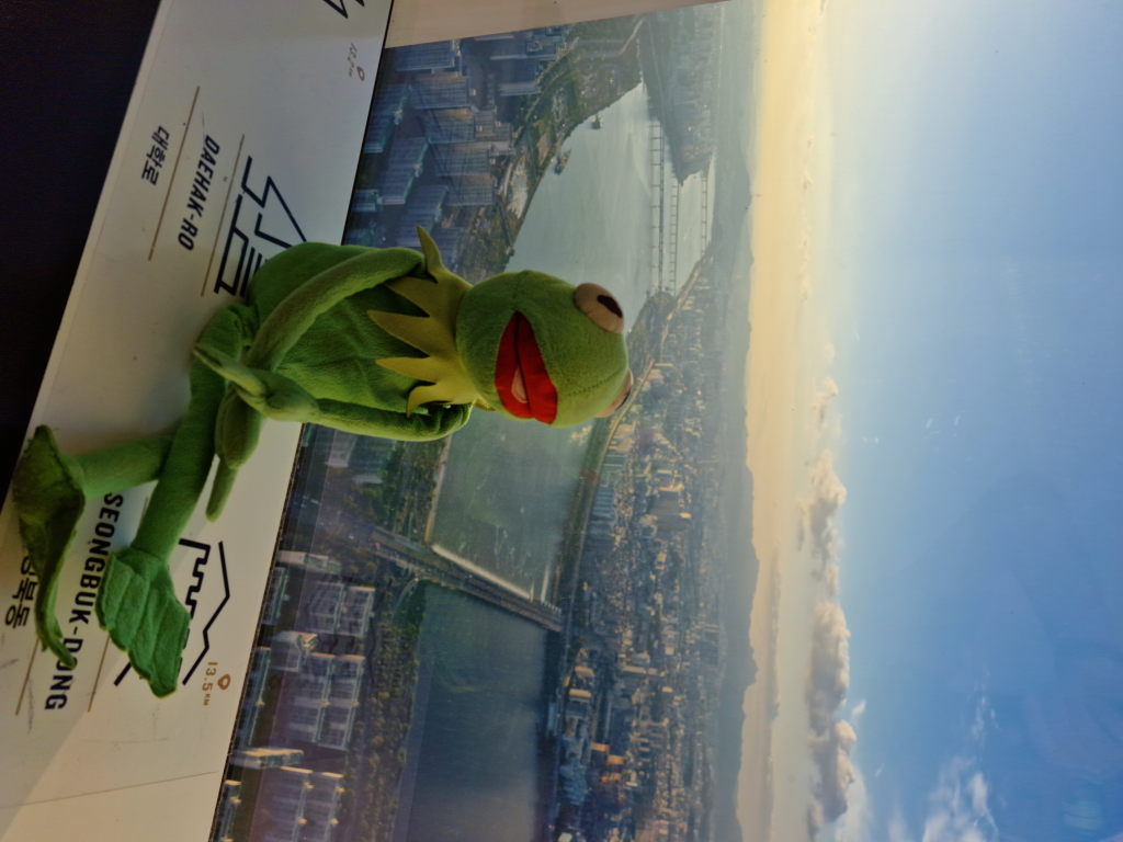 Kermit auf der Fensterbank Seoul Sky mit Han River Panorama