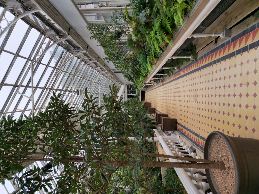 Veranda der Haupthalle Changdeokgung mit Dancheong Bemalung