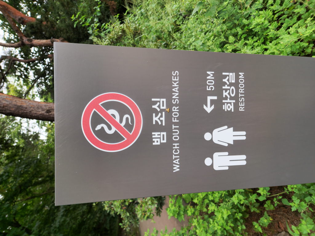 Blick durch Palasttor auf Haupthalle Changdeokgung