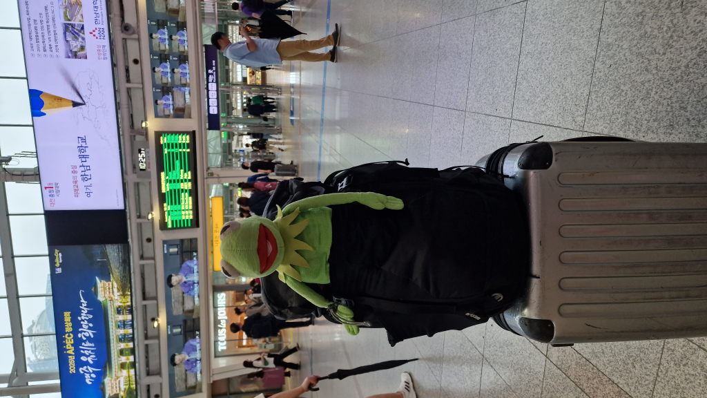 Kermit auf Gepäck in Seoul Hauptbahnhof vor Abfahrtstafel