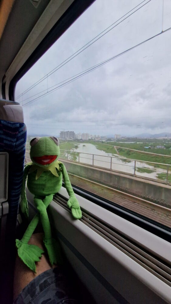 Regen, Märkte und ein lächelnder Schweinskopf — Daegu und weiter nach Busan