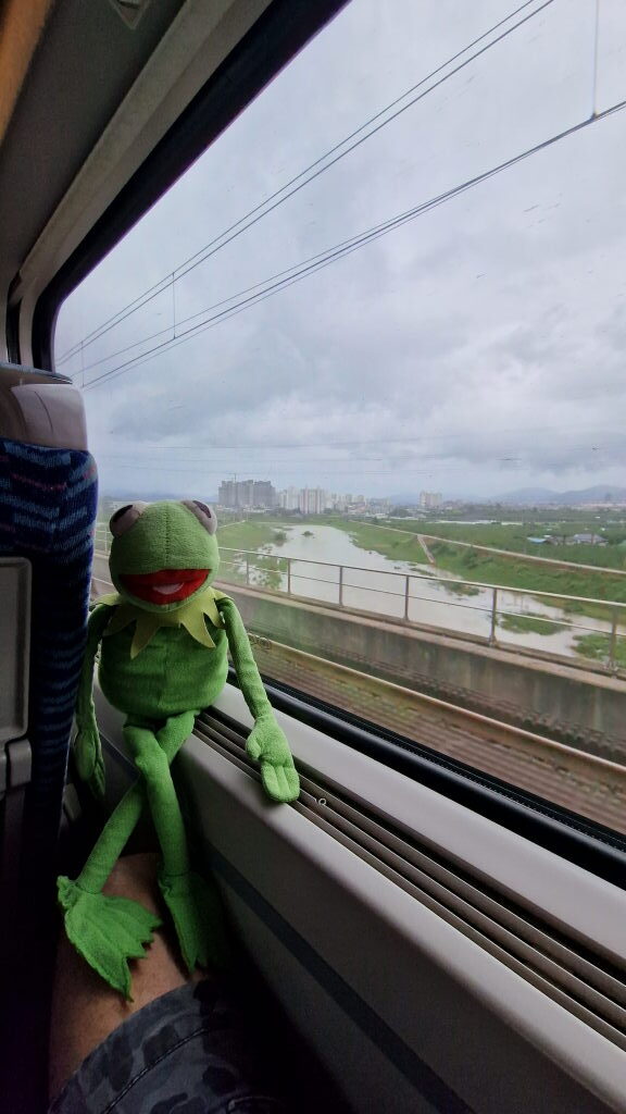 Regen, Märkte und ein lächelnder Schweinskopf — Daegu und weiter nach Busan