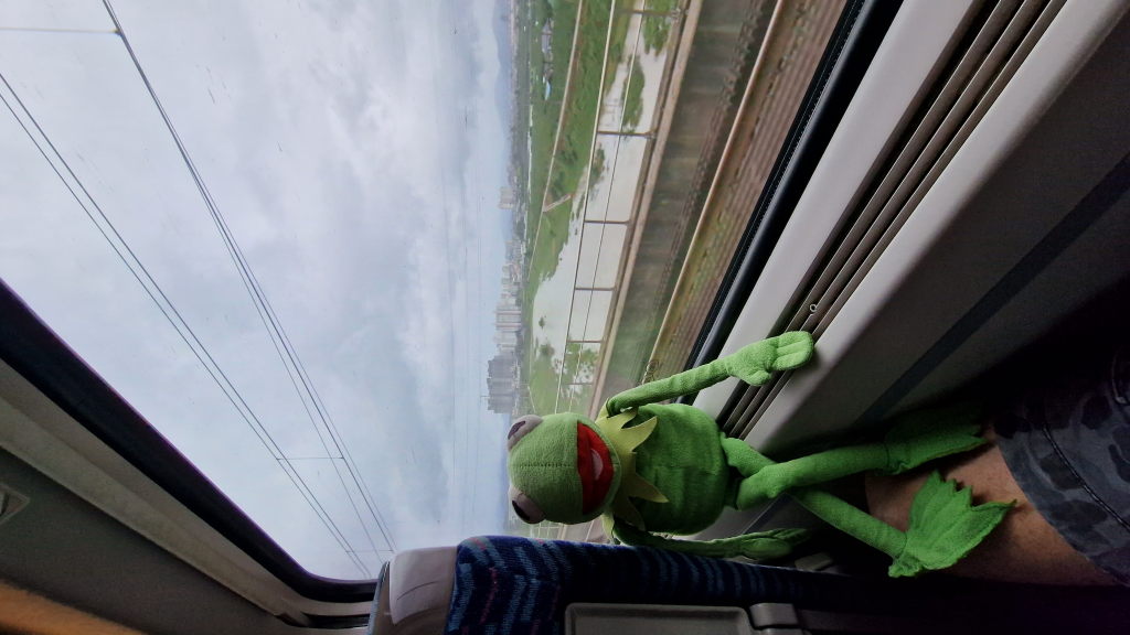 Kermit schaut aus KTX Zugfenster mit überfluteter Landschaft