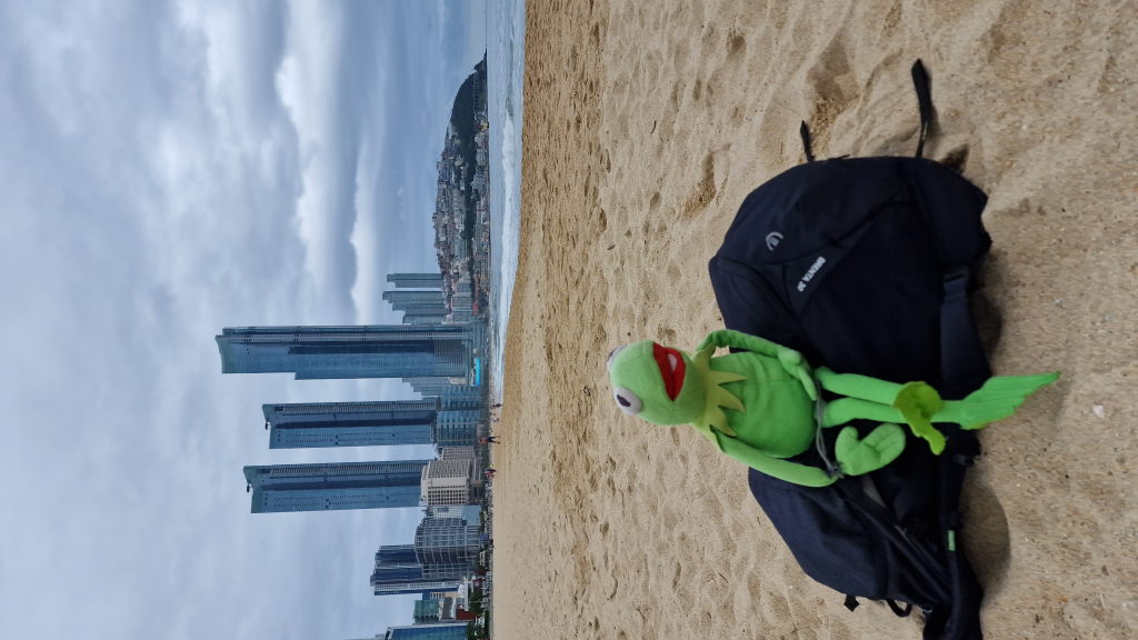 Kermit am Haeundae Beach Busan mit Skyline im Hintergrund