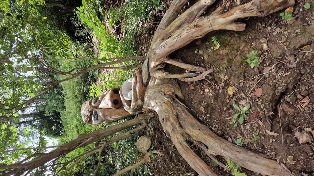 Holzskulptur Gesicht aus Baumwurzeln in Gamcheon