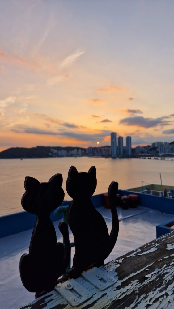 Busan, Tag 2: Katzen, Farben und ein Frosch in der Seilbahn