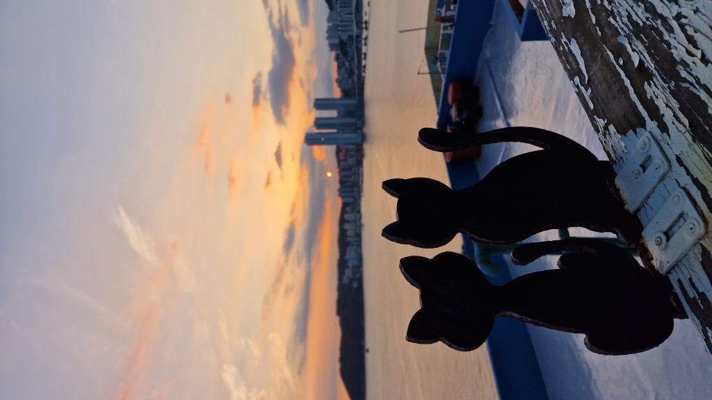 Sonnenuntergang über Busan mit zwei Katzen-Silhouetten