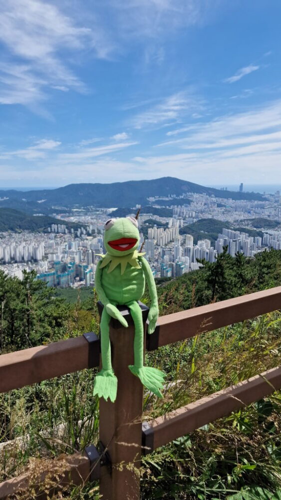 Busan von oben — und dann ins Flugzeug 🐸