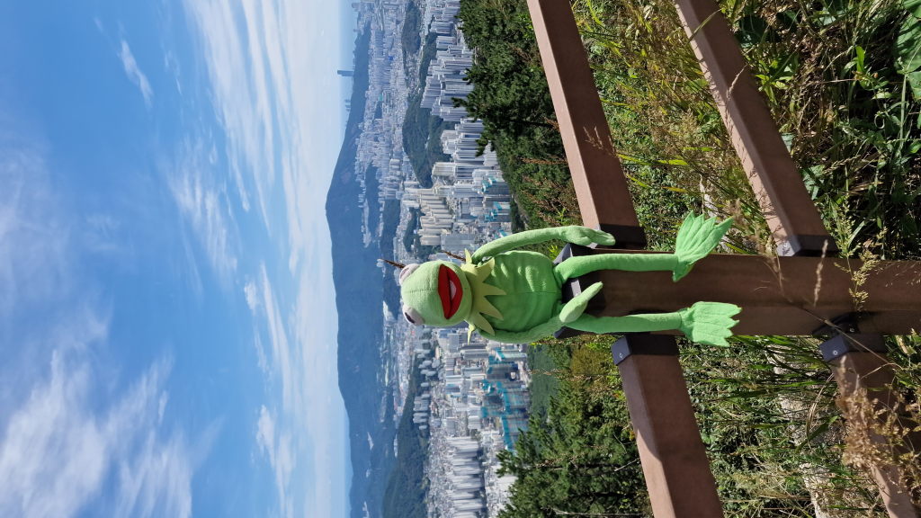 Kermit auf dem Geländer mit Busan-Panorama im Hintergrund