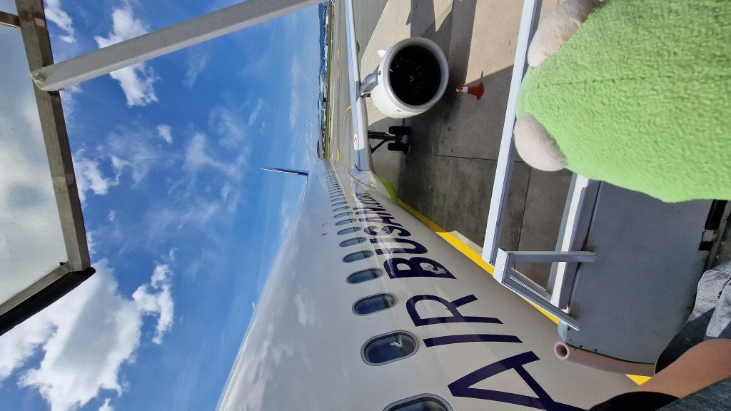 Air Busan Maschine am Gate mit Kermit