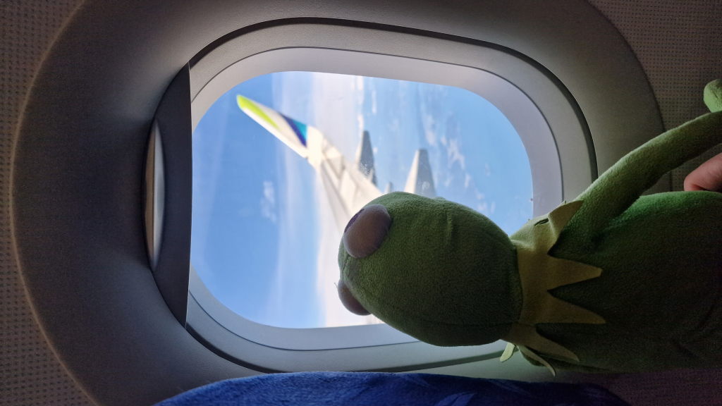Kermit schaut aus dem Flugzeugfenster