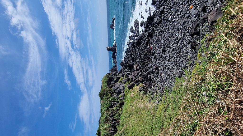 Schwarze Lavafelsen Küste Jeju