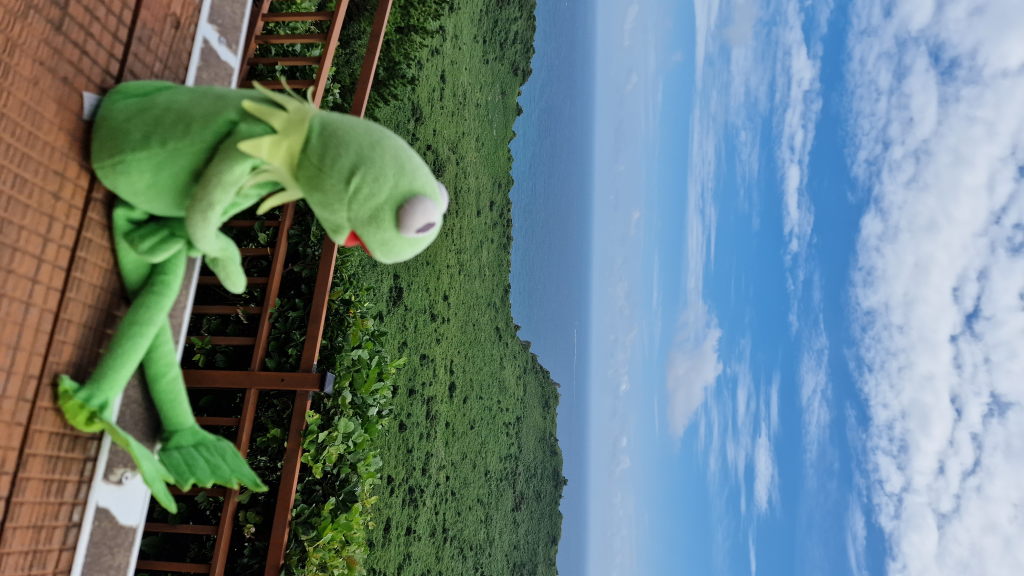 Kermit sitzt auf Geländer mit Blick auf grünen Krater und Meer Jeju