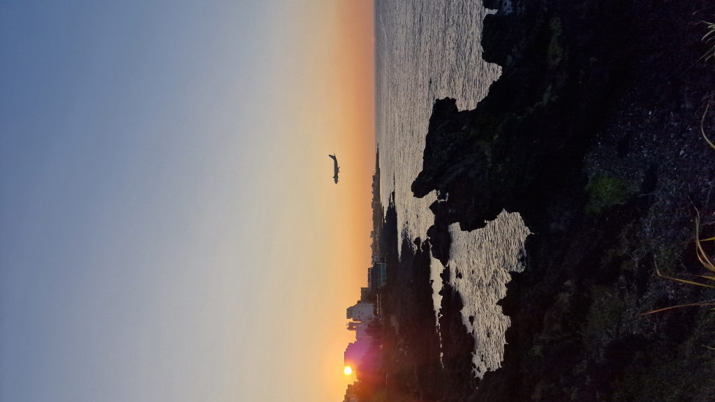 Küstenstraße Jeju Sonnenuntergang Kurve