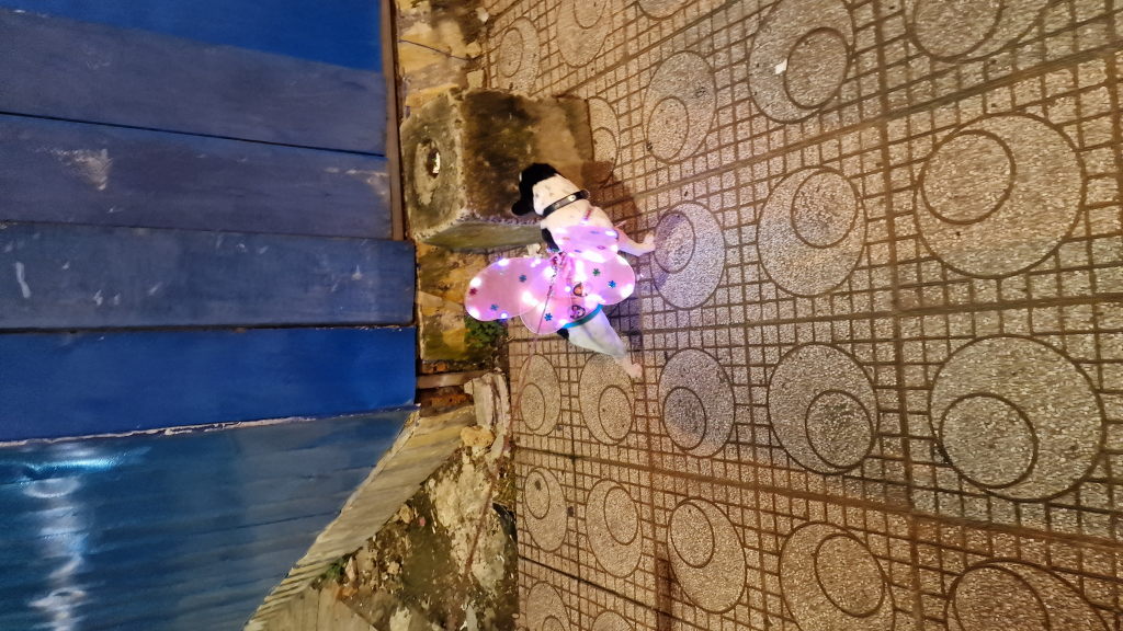 Mops mit leuchtendem Schmetterlings-Kostüm HCMC Nacht