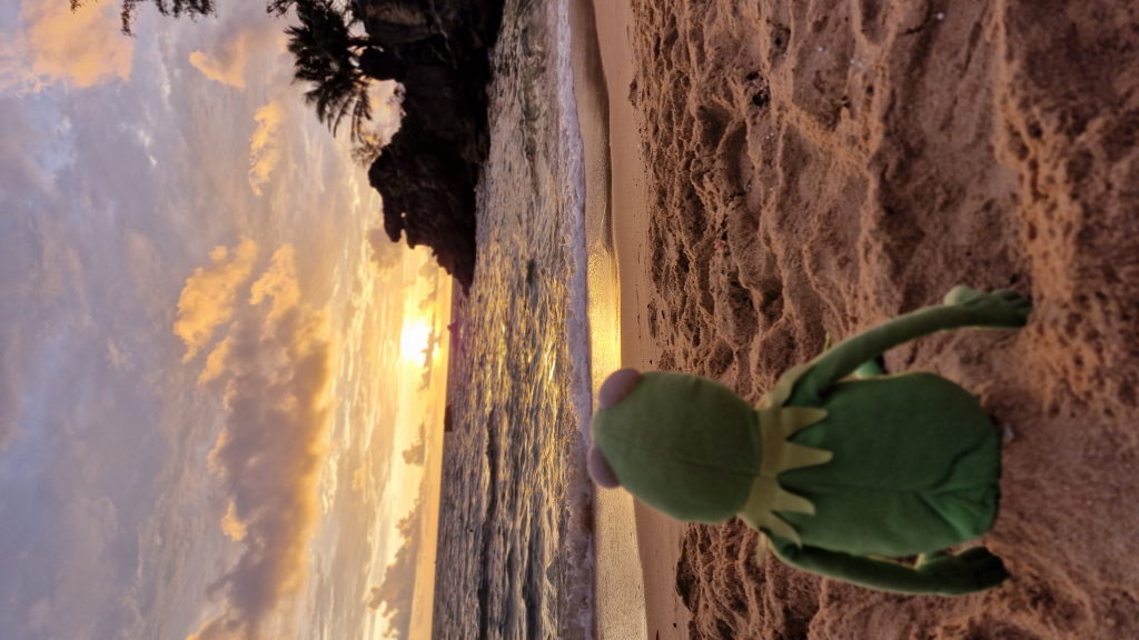 Kermit sitzt allein im Sand und schaut auf den Sonnenuntergang